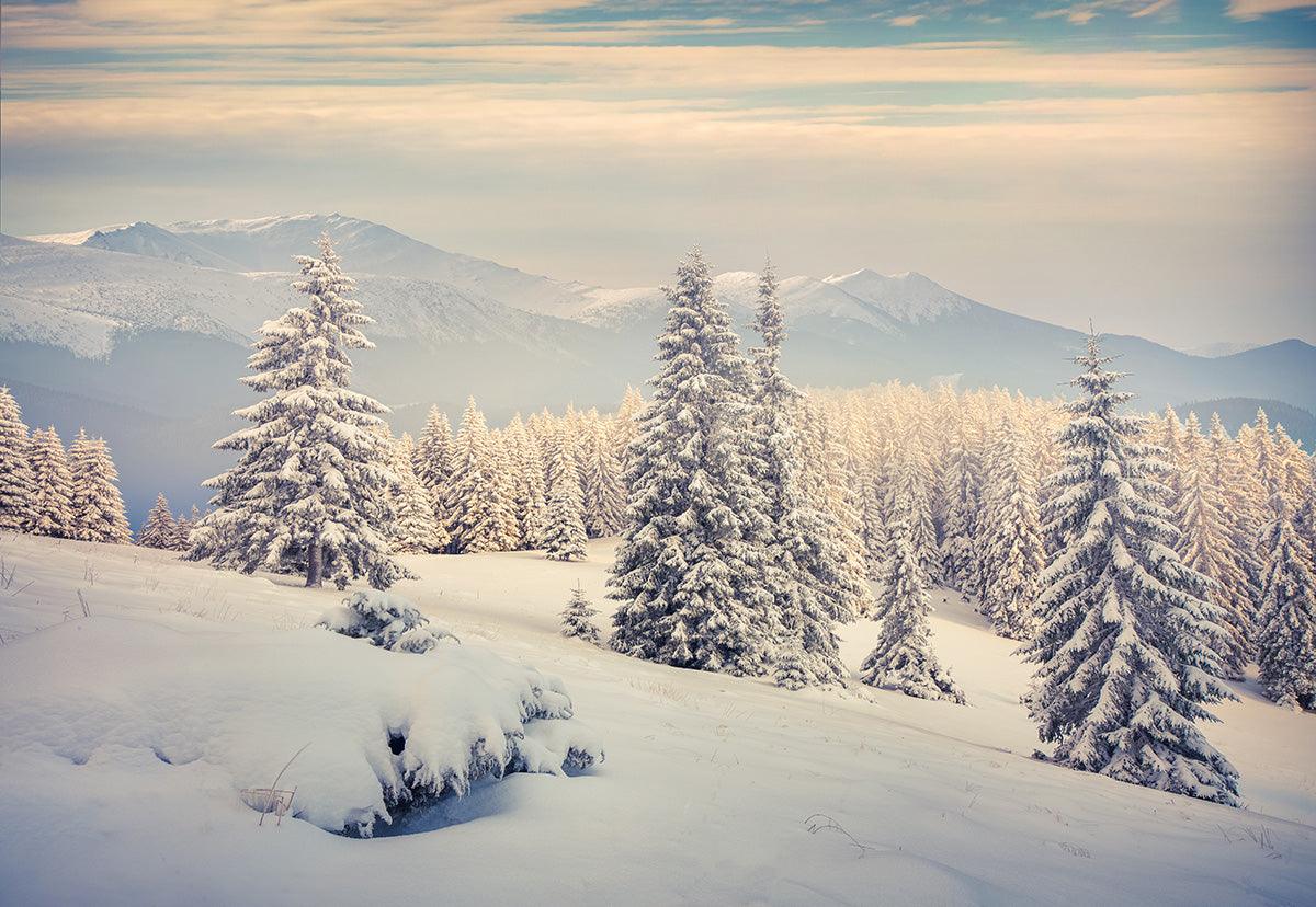 Winter Mountain Photography Backdrop Snow Background