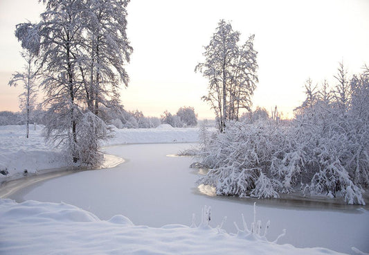 Snow River Tree Photography Backdrop Winter Background