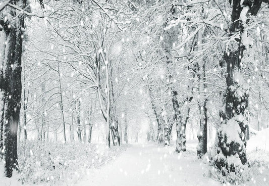 White Snowflake Forest Photography Backdrop Winter Background
