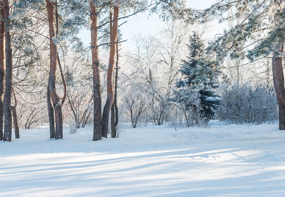 Snow Photo Winter Forest Photography Backdrop