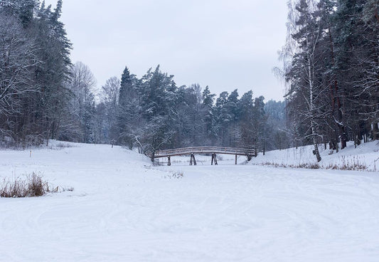 Snow River Forest Winter Photography Backdrop