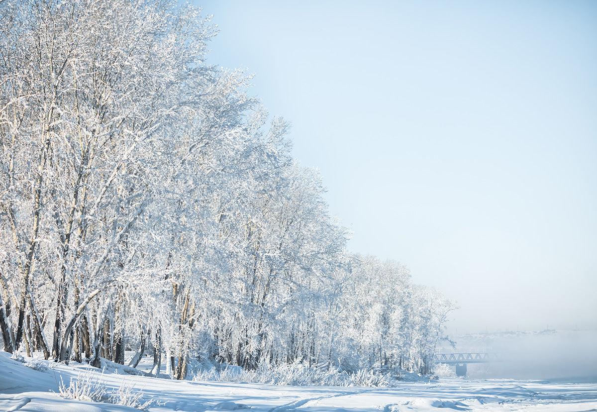 Winter Snow Branches Fog Photography Backdrop for Studio