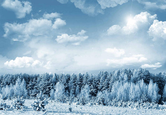 Winter Backdrops Cloud Winter Pine Snow Backdrops