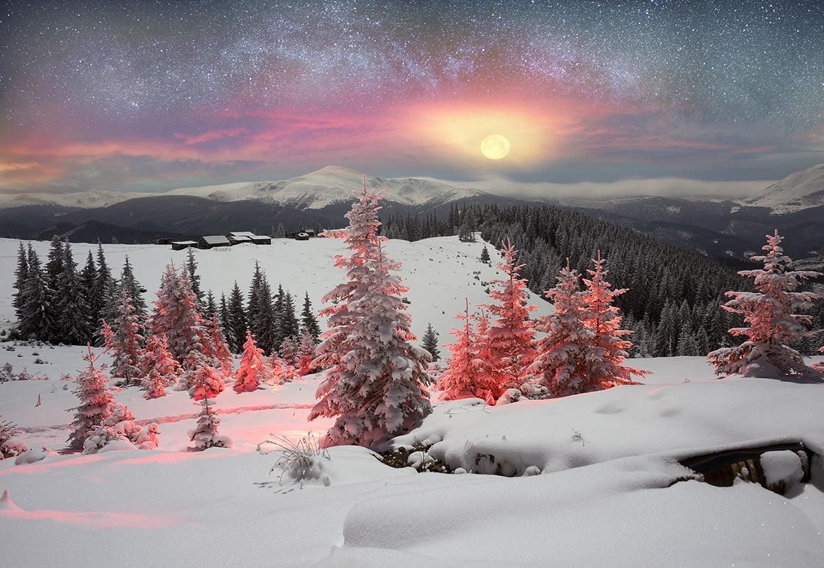 Snow Forest Sunset Winter Photography Backdrop