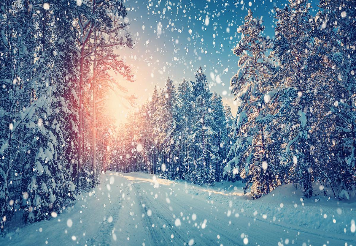 Winter Snow Wonderland Sunshine Forest Backdrop for Photos