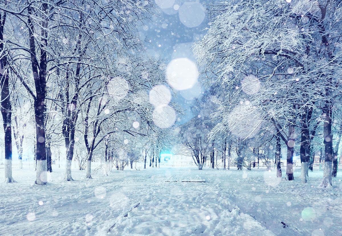 Winter White Snowing Road Photography Backdrop