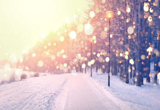 Glitter Snow Backdrop Winter Photo Background