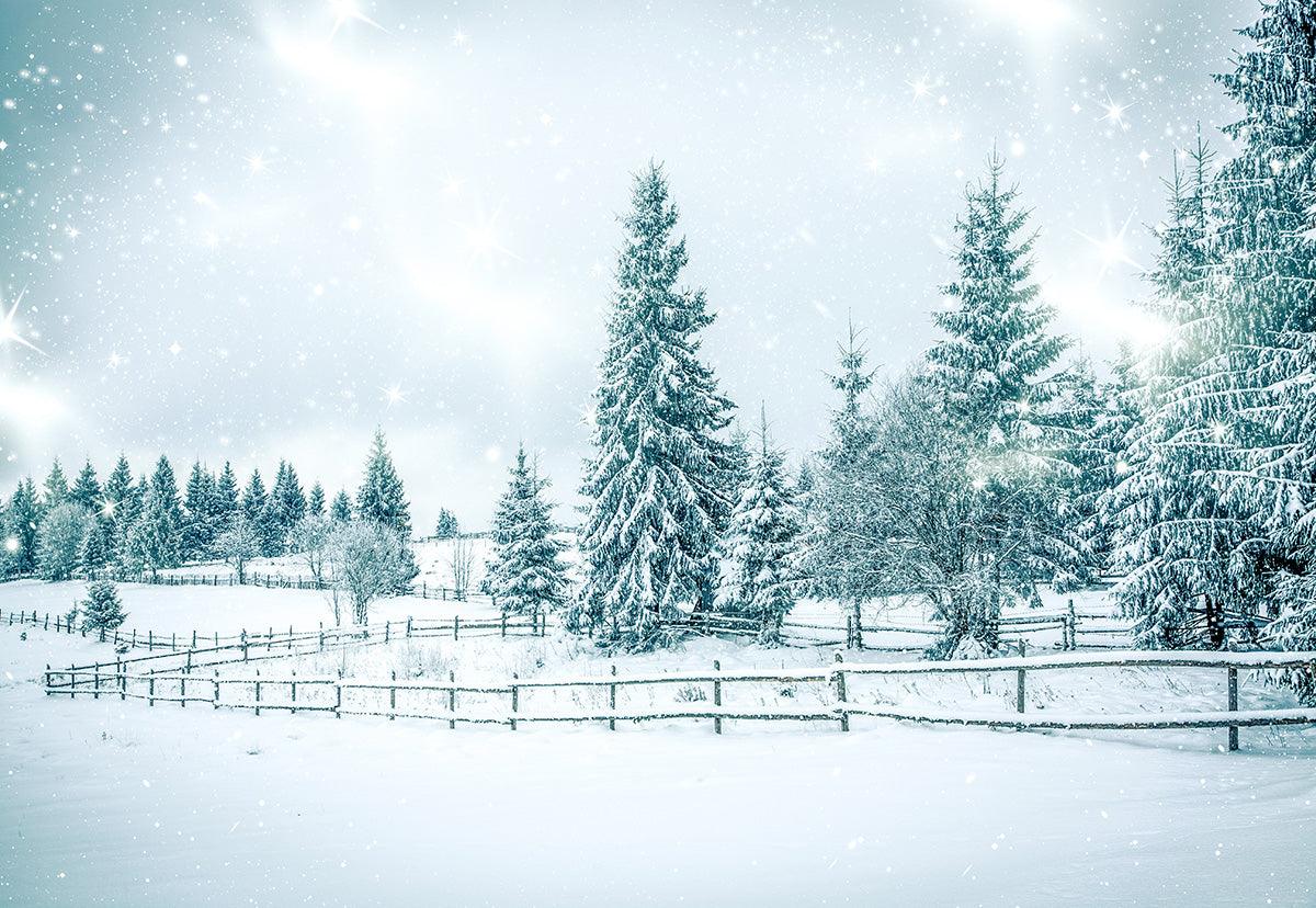 Snow Pine Tree Winter Backdrop for Photography