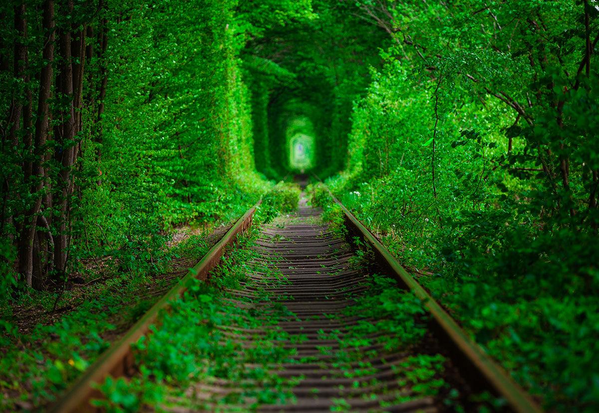 Train Track Spring Green Forest Scenery Backdrop – Starbackdrop