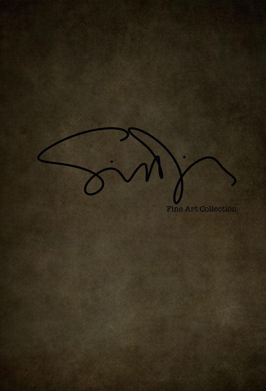 Simon Diez Art Renaissance Dark Color Abstract Backdrop for Picture