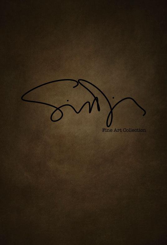 Simon Diez  Dutch Golden Age Abstract Backdrop for Photography