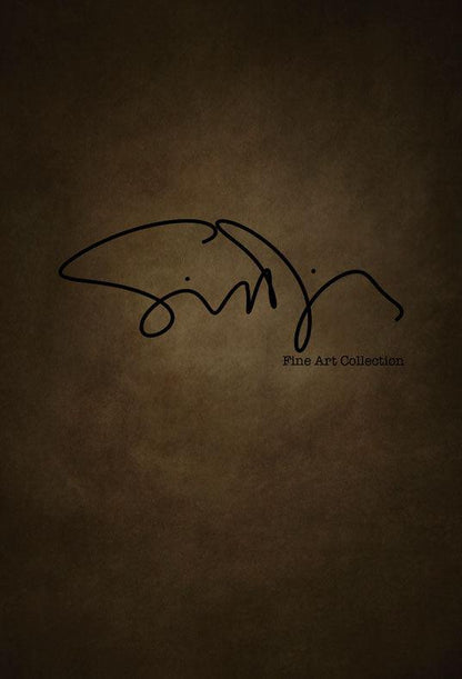 Simon Diez  Dutch Golden Age Abstract Backdrop for Photography