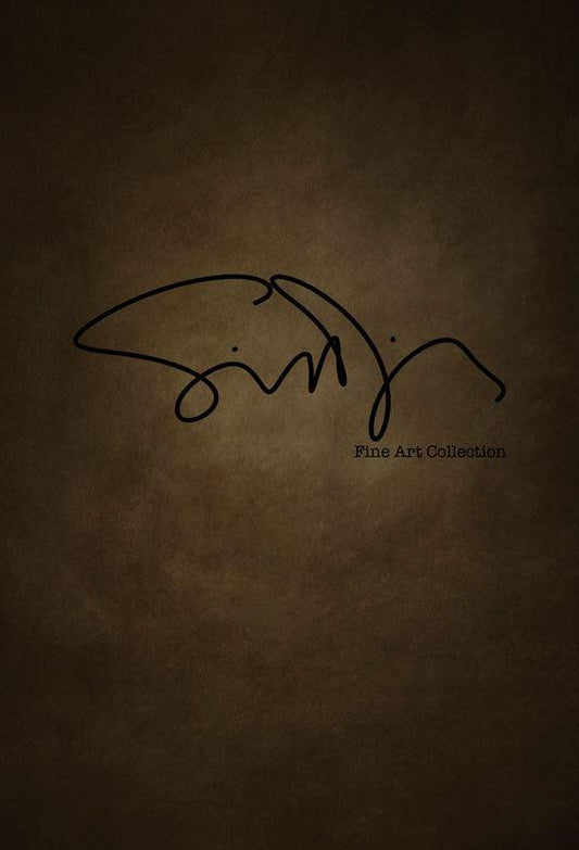 Simon Diez  Dutch Golden Age Abstract Backdrop for Photography