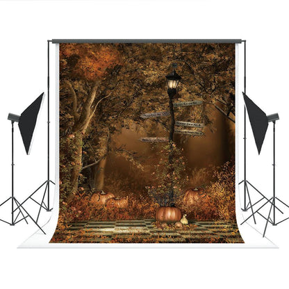 Fall Forest Pumpkin Photo Studio Backdrops