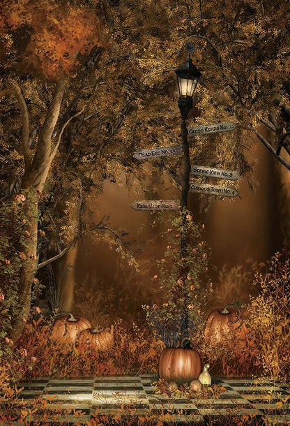 Fall Forest Pumpkin Photo Studio Backdrops