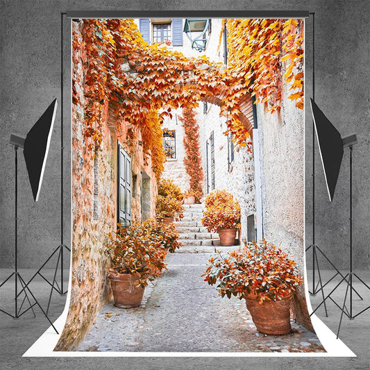 Fall Creeper Old Village Photo Backdrop for Studio