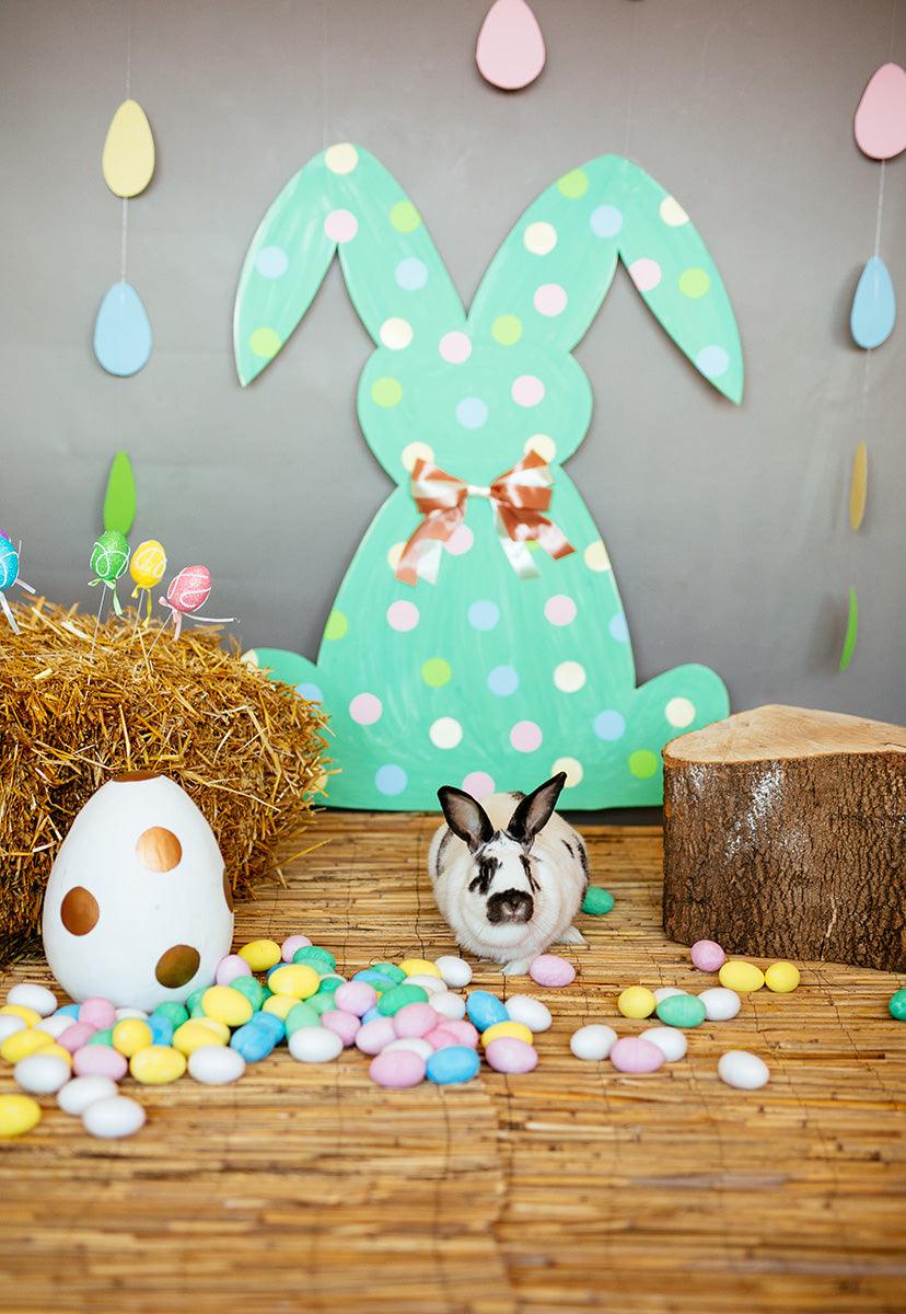 Polka Mint Rabbit Colorful Eggs Happy Easter Straw Backdrops