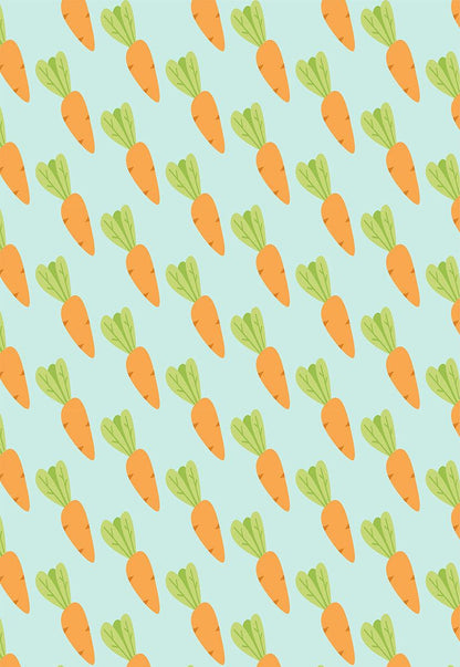 Carrot Easter Photography Backdrops for Baby