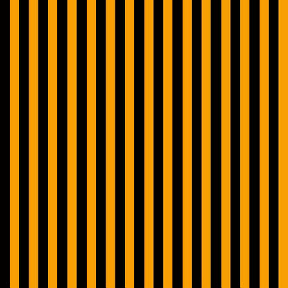Black and Orange Stripes Photo Studio Backdrops