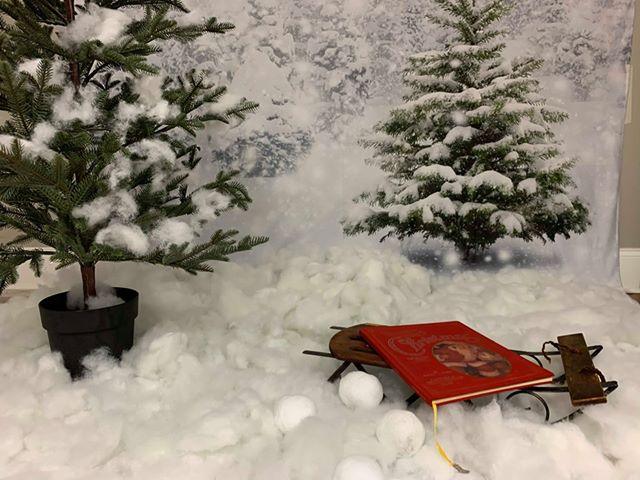 Snow Winter Pine Shiny Snowflake Photo Backdrop for Party