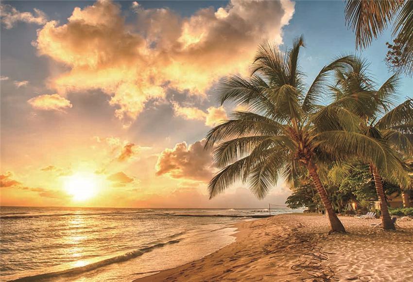 Sunset Beach Tropical Backdrop