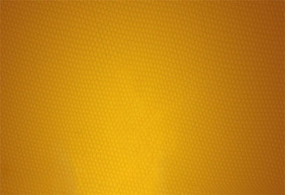 Baby Show Newborn Bee Photography Backdrop for Studio