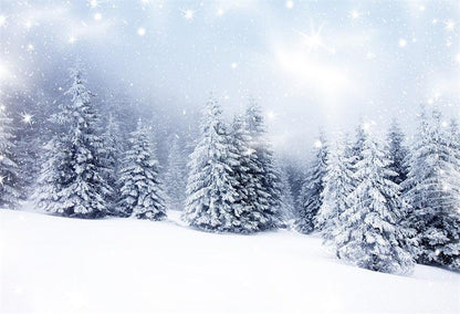 Snow Pine Winter Photography Backdrops for Photography