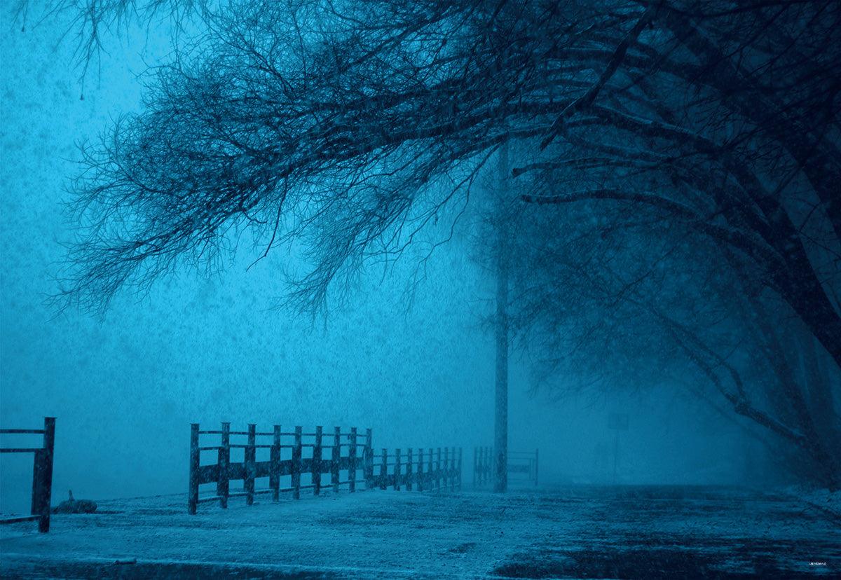 Winter Snow Fog Backdrops for Park
