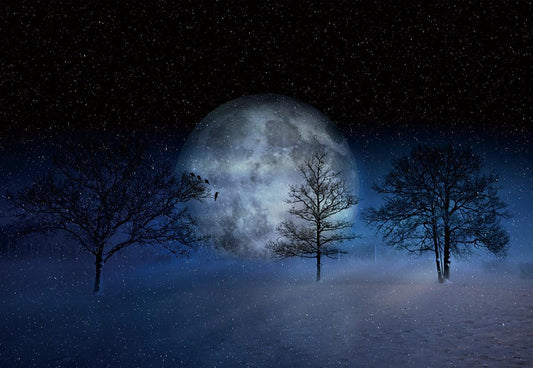 Big Moon Snow Winter Backdrops for Picture