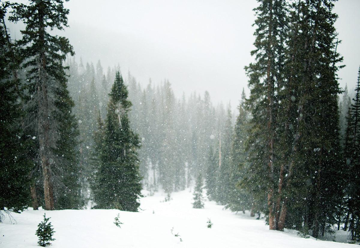 Snow Winter Pine Forest Photo Studio Backdrops
