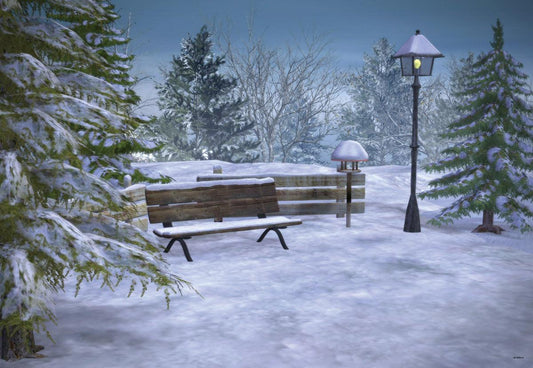 Winter Snow Park Photography Backdrops for Party