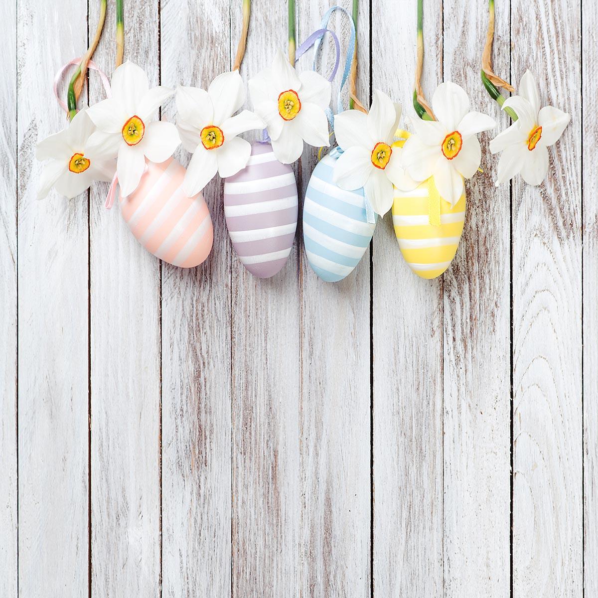 White Wood Eggs Flowers Easter Photo Backdrop for Studio