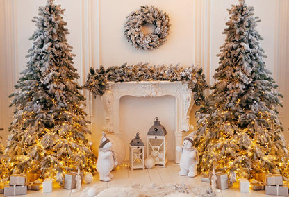 Merry Christmas Backdrops Wood Floor Wreath Background