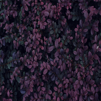 Tropical Plant Leaves Spring Photography Backdrops