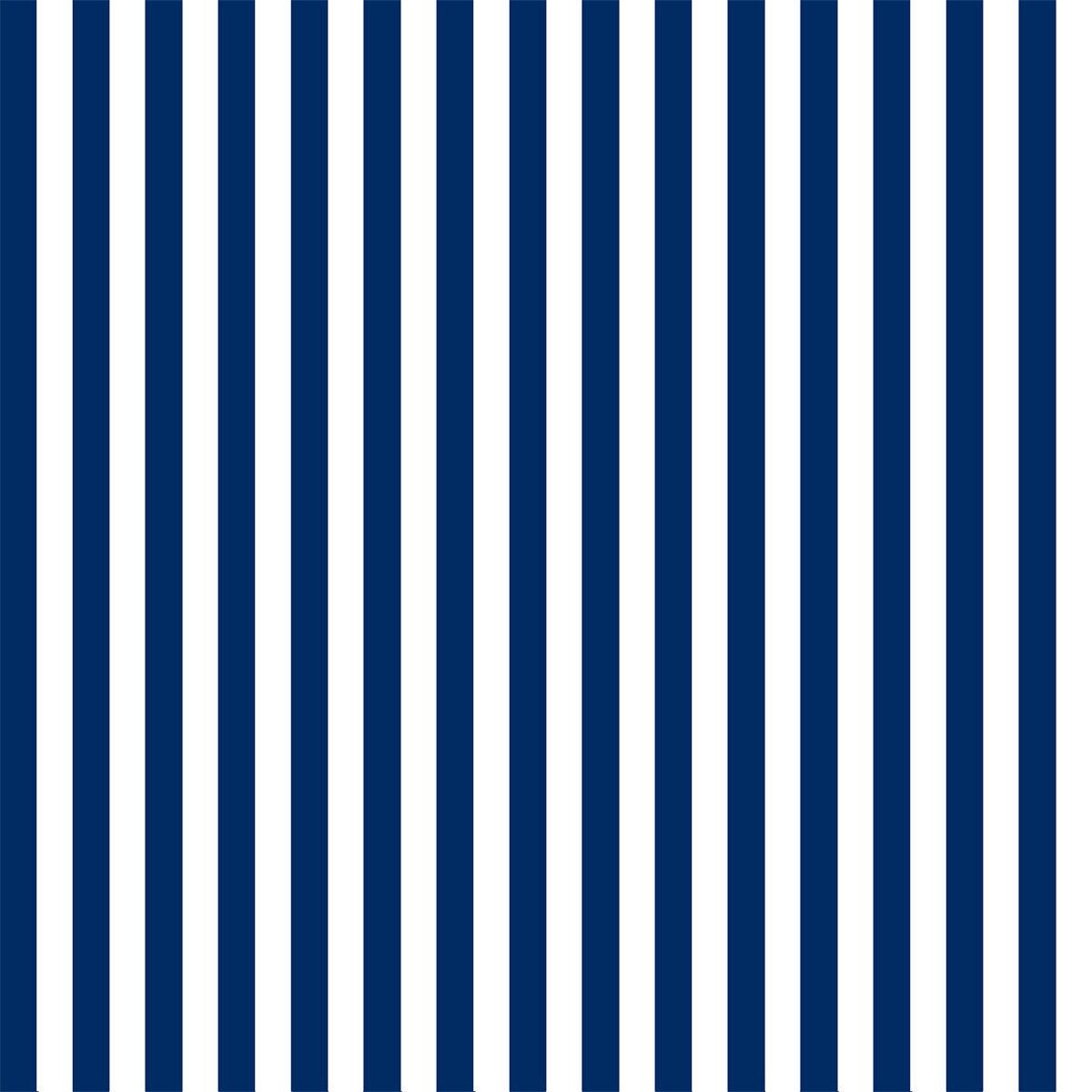 White and Mint Stripe Photo Background Backdrop