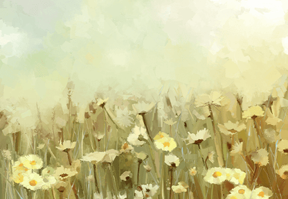 Vintage Oil Painting Daisy-chamomile Flowers Field at Sunrise Background Photo Backdrop SBH0025