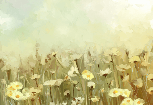 Vintage Oil Painting Daisy-chamomile Flowers Field at Sunrise Background Photo Backdrop SBH0025