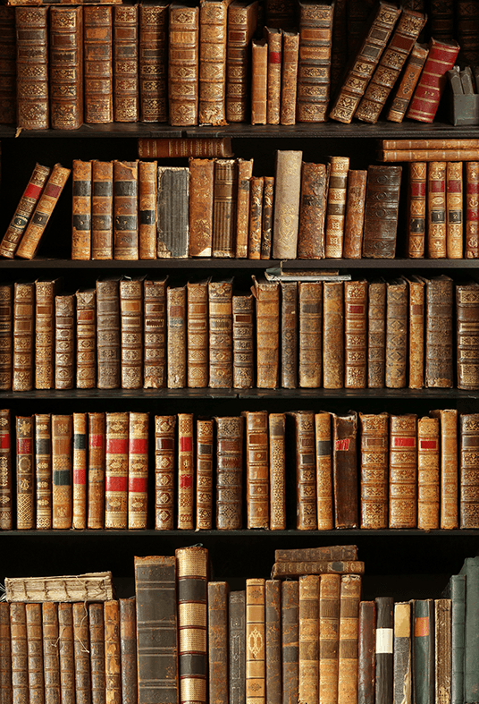 Old Books on Wooden Bookshelf Backdrop Photography Props SBH0107