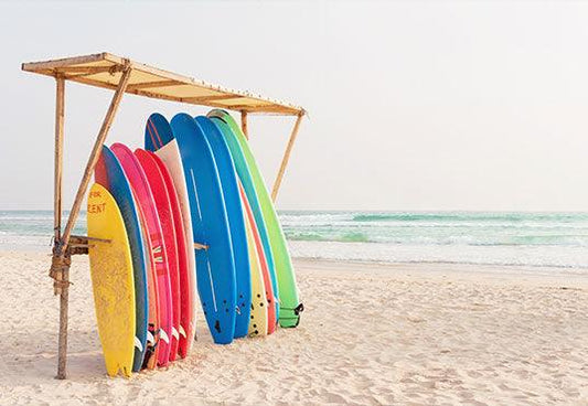 Colorful Surf Boards for Rent on Sandy Beach Backdrop for Photo SBH0119