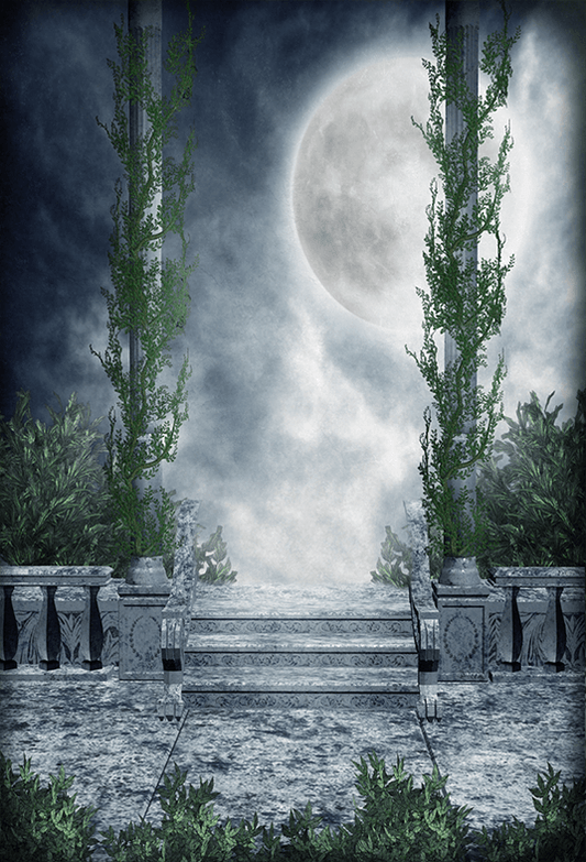 A Night Scenery With Balcony Photography Backdrop SBH0258