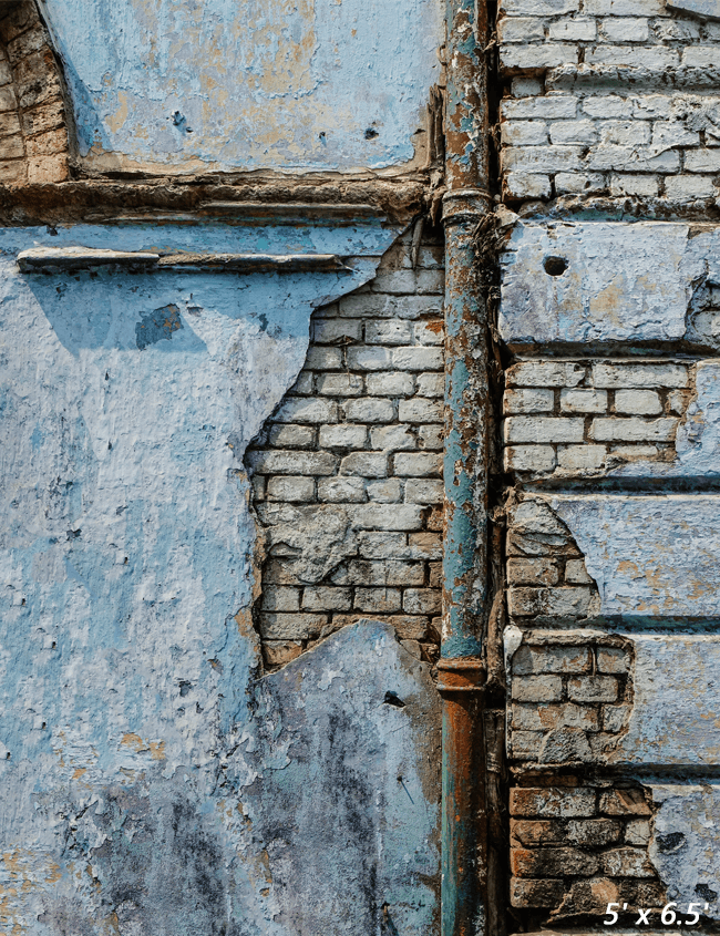 Ruined Brick Wall Backdrop for Grunge Photography SBH0325