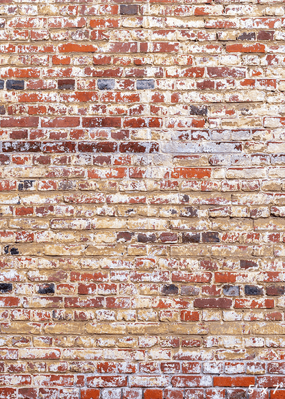 Old Red Brick Wall Backdrop for Grunge Photography SBH0327