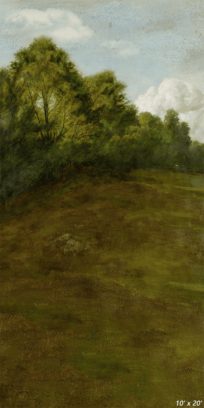 Rural Scenery Oil Painting Photography Backdrop SBH0331