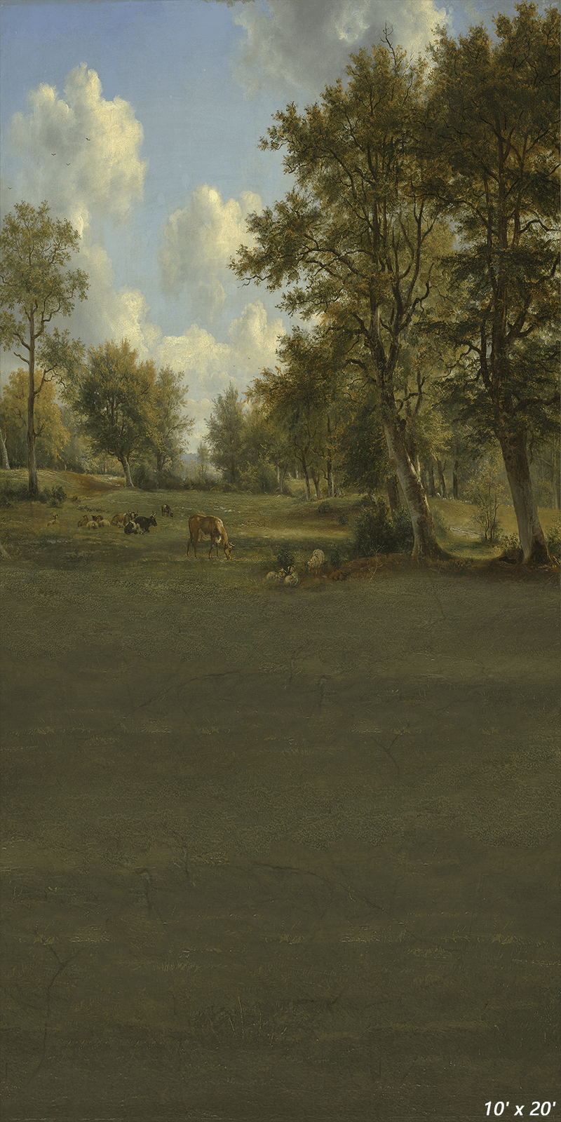 Oil Painting Landschap Photography Backdrop SBH0332