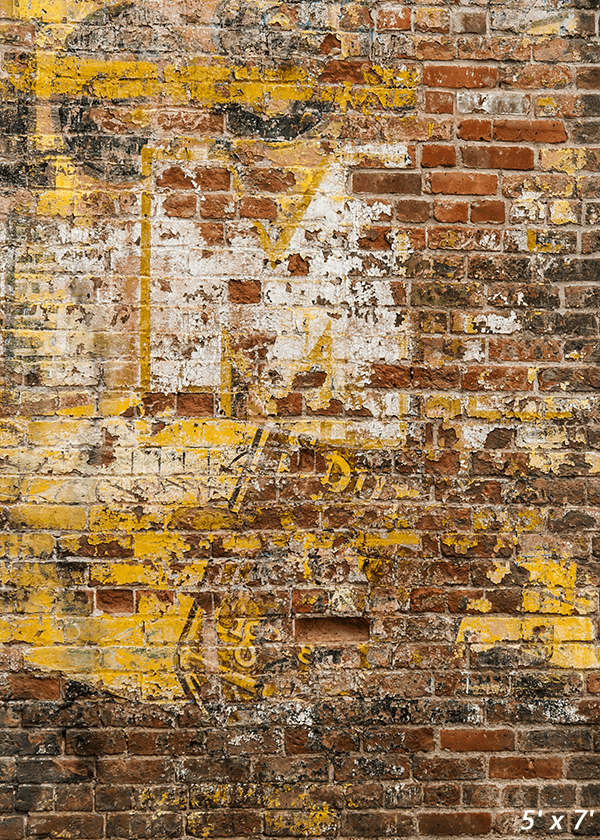 Faint Remnant Brick Wall Graffiti Photography Backdrop SBH0337