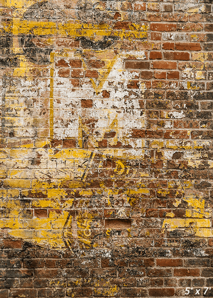 Faint Remnant Brick Wall Graffiti Photography Backdrop SBH0337