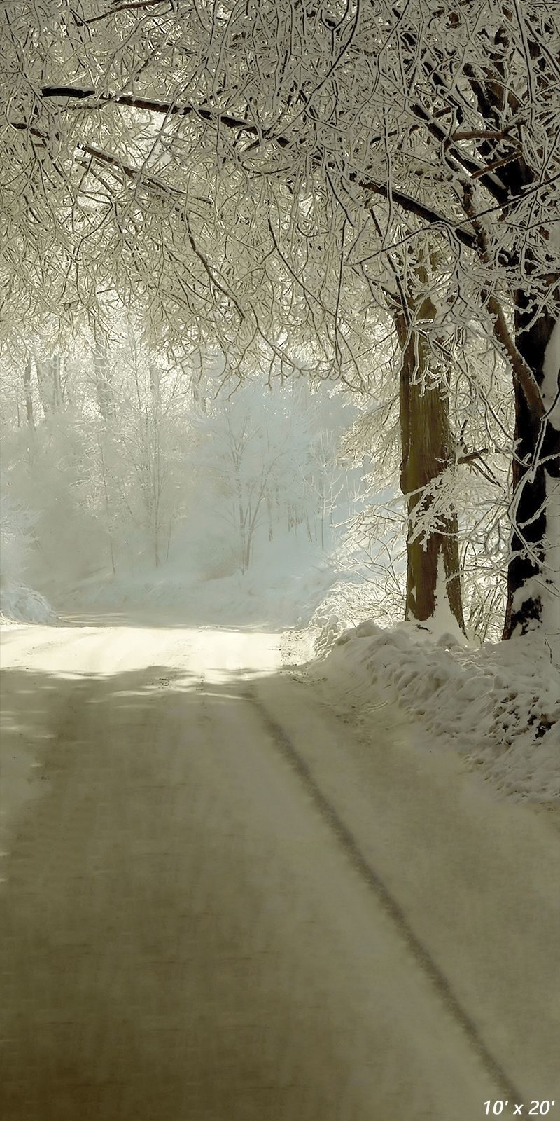 Winter Rural Road Frozen Trees Photography Backdrop SBH0352