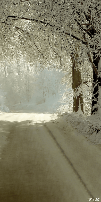 Winter Rural Road Frozen Trees Photography Backdrop SBH0352