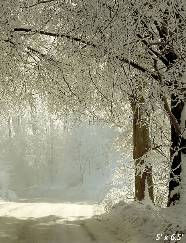 Winter Rural Road Frozen Trees Photography Backdrop SBH0352