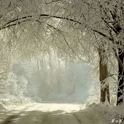 Winter Rural Road Frozen Trees Photography Backdrop SBH0352